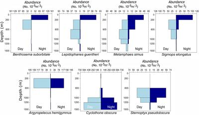 Trophic Structure and Sources of Variation Influencing the Stable Isotope Signatures of Meso- and Bathypelagic Micronekton Fishes